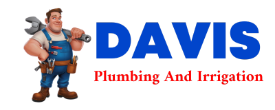 Trusted plumber in COWDREY